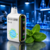Miami Mint